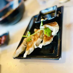 Gyoza