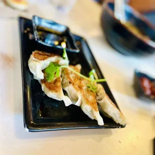 Gyoza