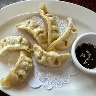 Chicken Pot Stickers