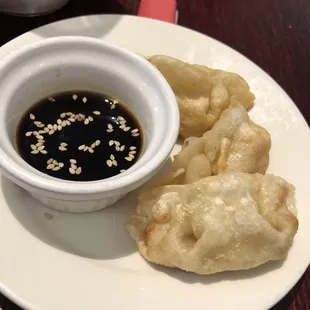 Pot Sticker Dumplings