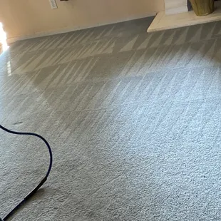 Carpet cleaned