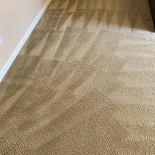 My carpets after cleaning!