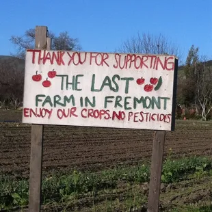 The extremely nice elderly gentleman pulled a fresh head of lettuce from the farm for our dinner salad!!!
