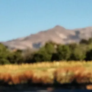 Monet version Mission Peak