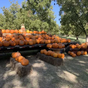 Ramirez Pecan Farms