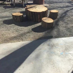 a group of tree stumps
