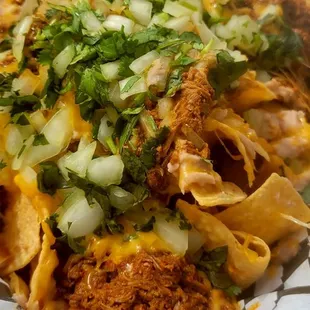 Birria nachos