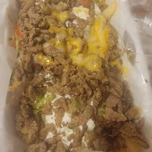 Carne asada fries. Regular size