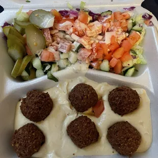 Falafel and Hummus Plate