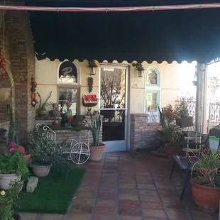 Nice plants...