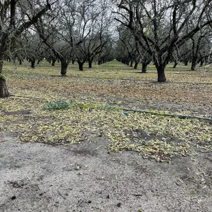 Right here is ground zero!