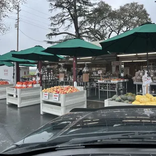 Last day! Closed until February. Bought an apricot pie, local cheese, bacon and apples.