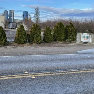 They shell the nuts here, right where they're grown, put them in a bag, and you get them!