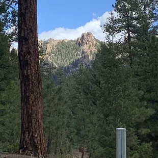 Views to Die For.