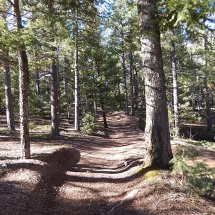 One of the MANY OHV trails in the area. Keep your ears open when crossing!