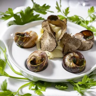 a plate of snails with cheese and parsley