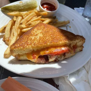 a grilled sandwich and fries