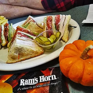 a plate of sandwiches and french fries