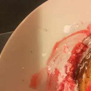 Just had to kill a bug on my French toast plate grossss