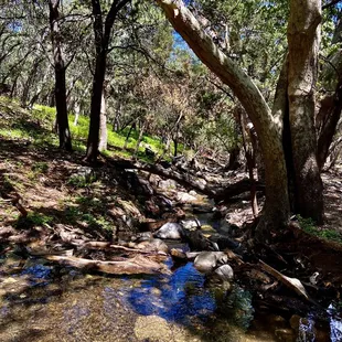 Sounds of the creek so soothing