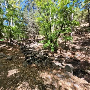 Stream tunning through the trail