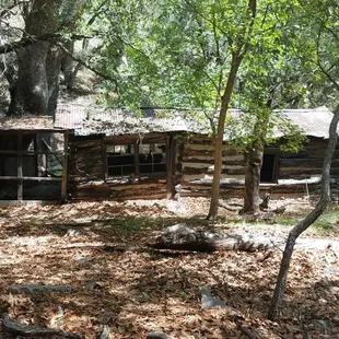 historic owner house