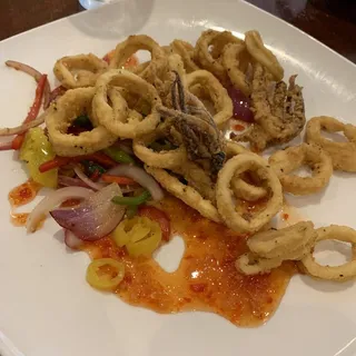 Calamari Terra Santa