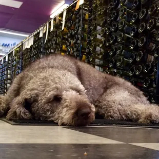 The floor manager Truman