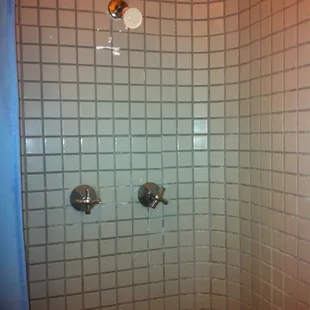 Shower. Clean.