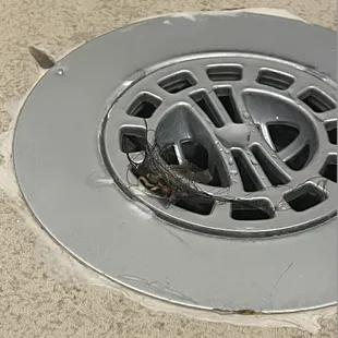 I had to clean out clumps of hair from the side of the shower, and then was greeted by a cockroach while I was washed my hair.