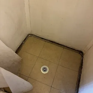 Shower was also highly suspicious.