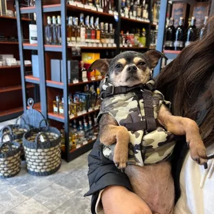 If you want to be chilling like this little guy come to Ranch Spirits we'll get you on one.