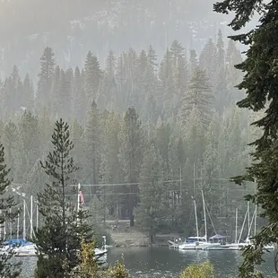 View from Waterfront. This is the consistent view for number 66