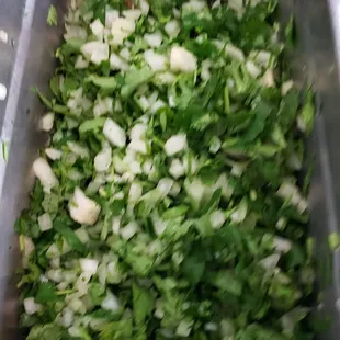 Fresh cilantro and onions!!