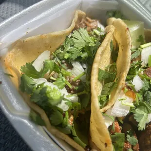 Carnitas and Al pastor taco