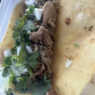 Carnitas taco