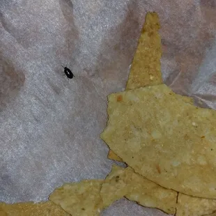 Even the bugs walkee away from the tortilla chips