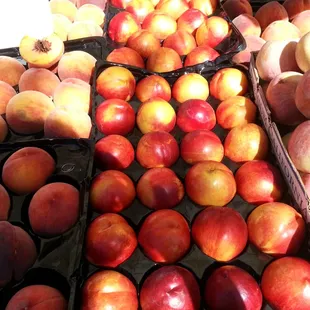 Rancho Cordova Certified Farmers' Market