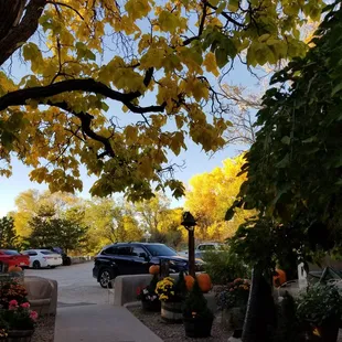 Beautiful entry and relaxing.