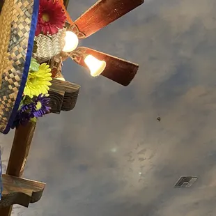 Disgusting dusty fans