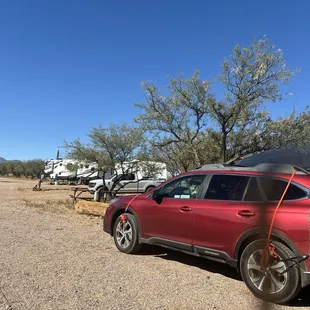 The neighbors. Last night someone was playing guitar and singing for a bit... life is grand