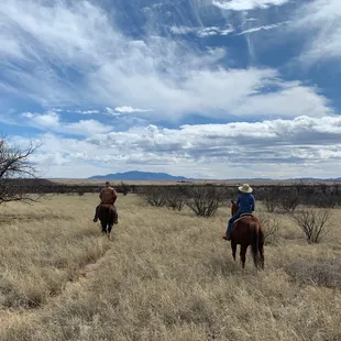 Guided Horseback Riding