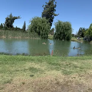 Rancho Del Rey Golf Club