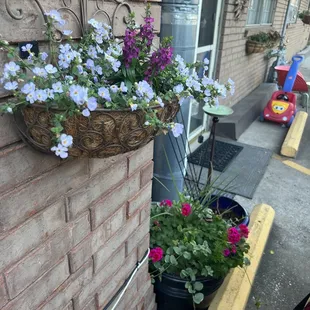 Rancho Flores Garden Center