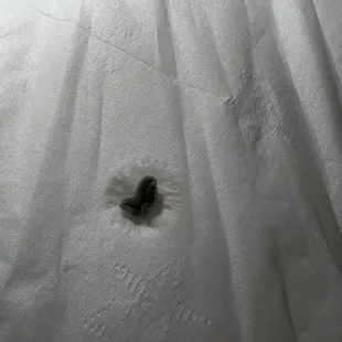 We found mold in my daughters apple juice