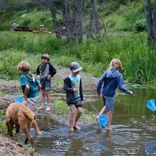 Catching tadpoles in the stream.