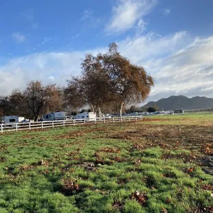Open field next to Lakeview Campground.