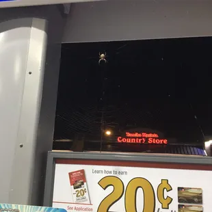 This big old spider greeted me at the pump.