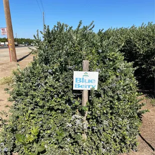 Diane C has been an inspiration 2me! I c her enjoying herself outdoors+I admire that! So i decided also to go "out" lol ;-)