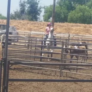 Sorting Clinic